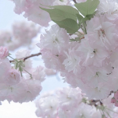 华州FurryQQ群介绍